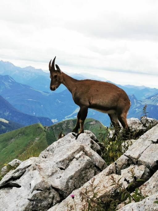 Appartement Vue Sur Le Golf Et Le Lac Leman Publier Bagian luar foto
