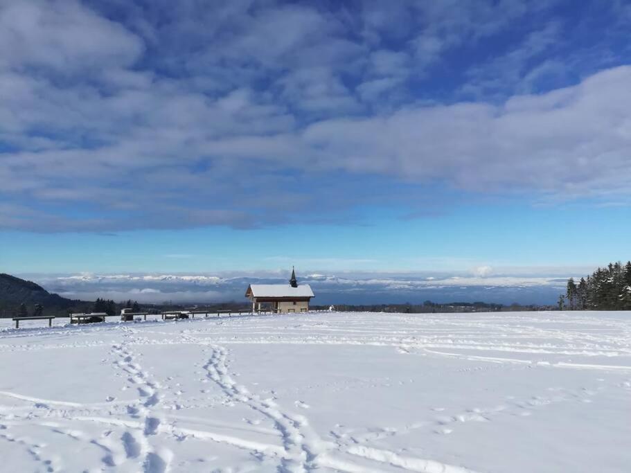 Appartement Vue Sur Le Golf Et Le Lac Leman Publier Bagian luar foto